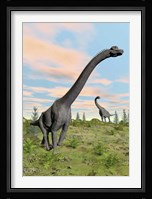 Two brachiosaurus dinosaurs in a prehistoric environment Fine Art Print