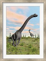 Two brachiosaurus dinosaurs in a prehistoric environment Fine Art Print