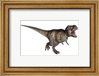 Aggressive Tyrannosaurus Rex growling, white background Fine Art Print