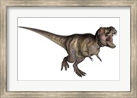 Aggressive Tyrannosaurus Rex growling, white background Fine Art Print