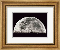 Close-up of a Half Moon Fine Art Print