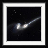 Mice Galaxies Fine Art Print