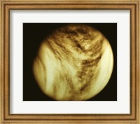 Venus - tan Fine Art Print