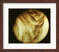 Venus - tan Fine Art Print