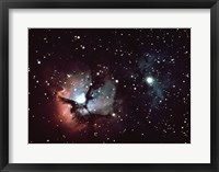 Triffid Nebula In Sagitarius Fine Art Print