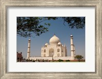 Asia, India, Taj Mahal with trees above as framing element Fine Art Print