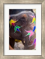 Elephant at Amber Fort, Rajasthan, Jaipur, India Fine Art Print