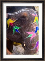 Elephant at Amber Fort, Rajasthan, Jaipur, India Fine Art Print