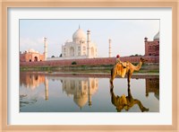 Young Boy on Camel, Taj Mahal Temple Burial Site at Sunset, Agra, India Fine Art Print