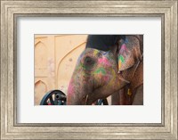 Decorated elephant at the Amber Fort, Jaipur, Rajasthan, India. Fine Art Print