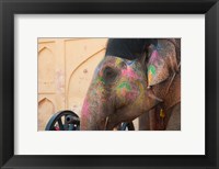 Decorated elephant at the Amber Fort, Jaipur, Rajasthan, India. Fine Art Print