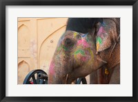 Decorated elephant at the Amber Fort, Jaipur, Rajasthan, India. Fine Art Print