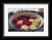Flowers in a bowl, Rawal Jojawar Hotel, Jojawar, Rajasthan, India. Fine Art Print