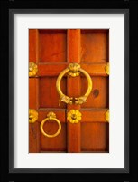 Ornate door at the City Palace, Udaipur, Rajasthan, India Fine Art Print