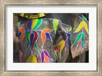 Elephant Decorated with Colorful Painting, Jaipur, Rajasthan, India Fine Art Print