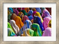Women in colorful saris, Jhalawar, Rajasthan, India Fine Art Print