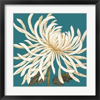 Mix of Mums I Framed Print