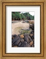 Beach Landscape, Java, Indonesia Fine Art Print