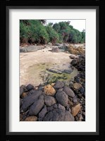 Beach Landscape, Java, Indonesia Fine Art Print