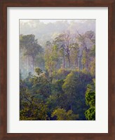 Sulawesi Tangkoko Rainforest, Sulawesi Fine Art Print