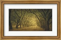 Evergreen, New Alley, Right Side Fine Art Print