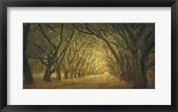 Evergreen, New Alley, Right Side Fine Art Print