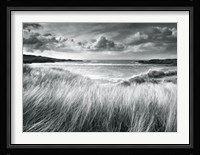 Sea Grass Fine Art Print