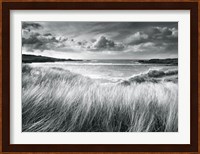 Sea Grass Fine Art Print