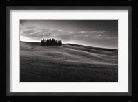 Cypresses and Rolling Hills Fine Art Print