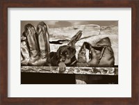 Big Foot Fine Art Print