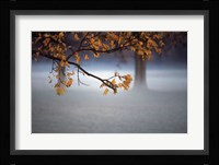 Fog Leaf Fine Art Print