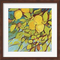 The Lemons Above Fine Art Print