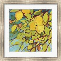 The Lemons Above Fine Art Print