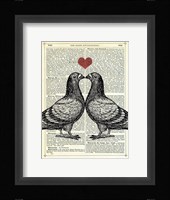Pigeons in Love Fine Art Print