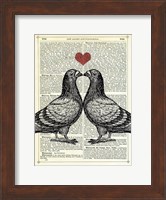 Pigeons in Love Fine Art Print