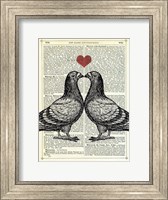 Pigeons in Love Fine Art Print