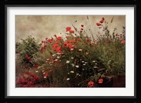 Poppy Garden Fine Art Print
