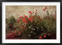 Poppy Garden Fine Art Print