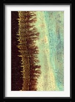 Lichen I Fine Art Print
