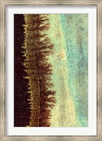 Lichen I Fine Art Print