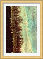 Lichen I Fine Art Print