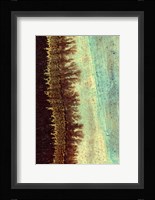 Lichen I Fine Art Print