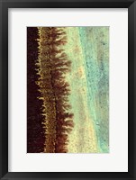 Lichen I Fine Art Print