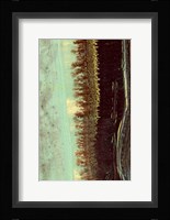 Lichen II Fine Art Print