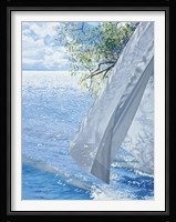 Late Breeze Fine Art Print