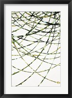 Moss Vine Fine Art Print