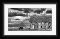 Horse and Barn Fine Art Print