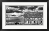 Horse and Barn Fine Art Print