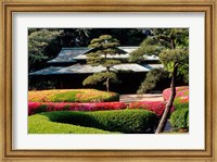 Azaleas at the Imperial Palace East Gardens, Tokyo, Japan Fine Art Print