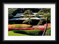 Azaleas at the Imperial Palace East Gardens, Tokyo, Japan Fine Art Print